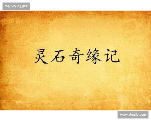 灵石奇缘:寻仙问道之途 灵石奇缘:寻仙问道之途