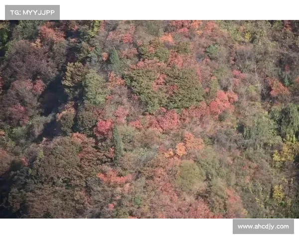 问道居所风光无限,妙手巧设美不胜收 问道居所风光无限,妙手巧设美不胜收